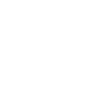 Bridges & Culverts [ICON]